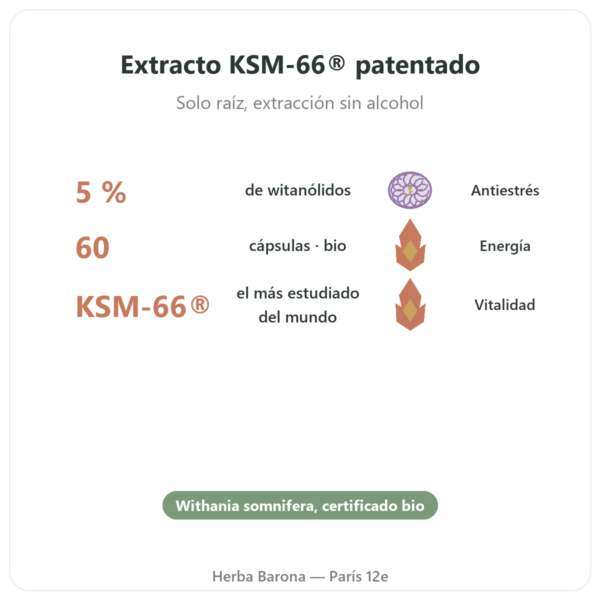 Ashwagandha BIO KSM-66 5% en Withanólidos – Dynveo – 60 cápsulas beneficios y datos clave Paris Herba Barona