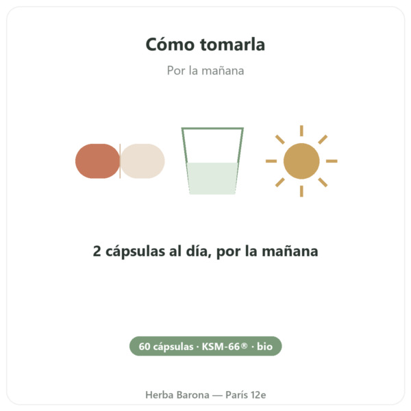 Ashwagandha BIO KSM-66 5% en Withanólidos – Dynveo – 60 cápsulas modo de empleo y dosis Paris Herba Barona