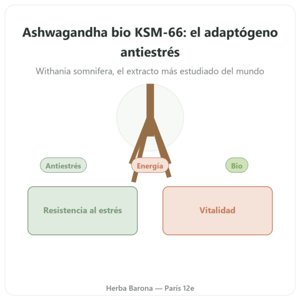 Ashwagandha BIO KSM-66 5% en Withanólidos – Dynveo – 60 cápsulas presentación Paris Herba Barona