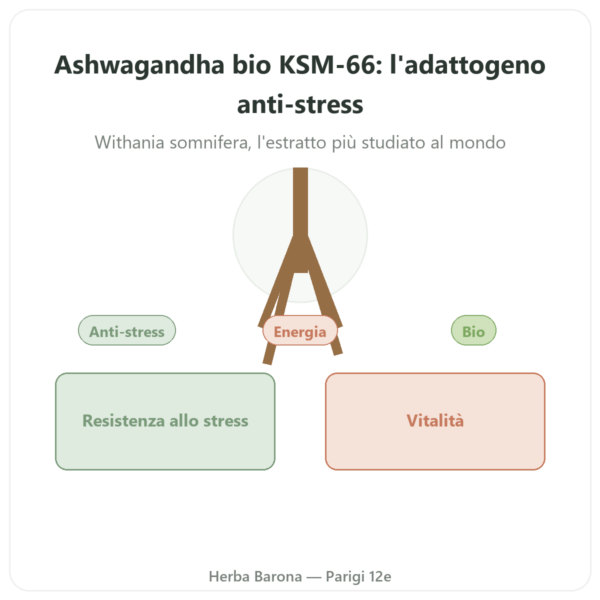 Ashwagandha bio KSM-66 5% in Withanolidi Dynveo – 60 capsule presentazione Paris Herba Barona