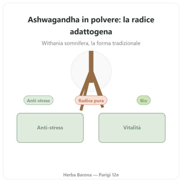 Ashwagandha Bio Polvere – Ayur-vana – 150 g presentazione Paris Herba Barona