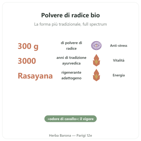 Ashwagandha Bio in Polvere 300g – Bioptimal benefici e dati chiave Paris Herba Barona