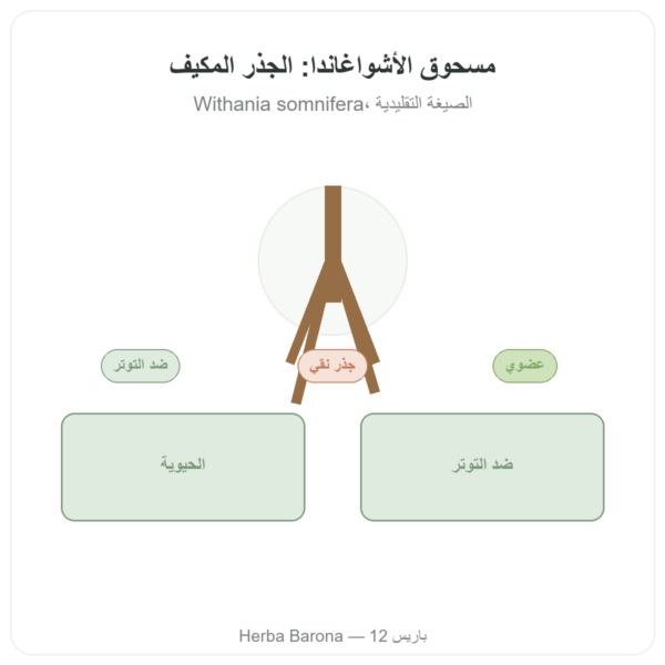 أشواغاندا عضوية مسحوق Ashwagandha Bio Poudre – Ayur-vana – 150 غ عرض المنتج Paris Herba Barona