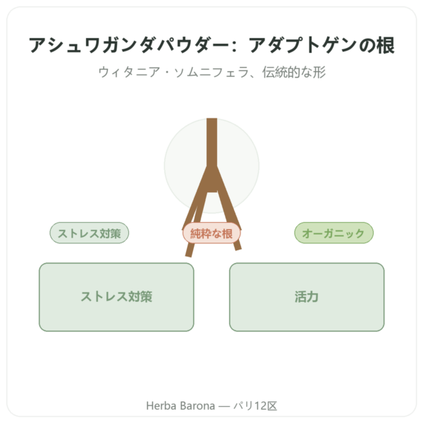 アシュワガンダ オーガニック パウダー – Ayur-vana – 150 g presentation Paris Herba Barona