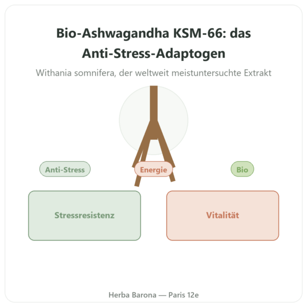 Ashwagandha Bio KSM-66® – 5 % Withanolide – Dynveo – 60 Kapseln Vorstellung Paris Herba Barona