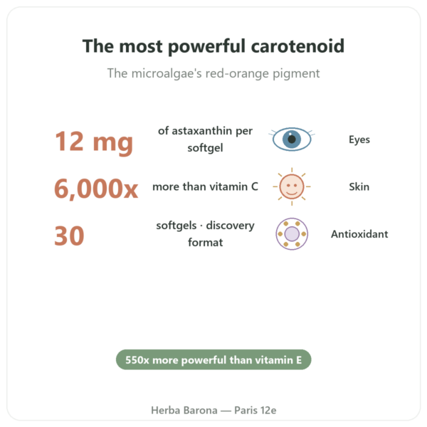 Astaxanthin 12mg – Jarrow Formulas – 30 Softgels benefits and key facts Paris Herba Barona