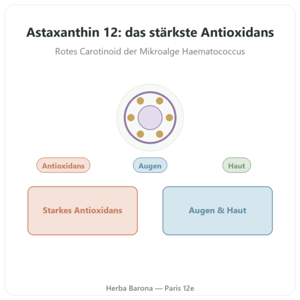 Astaxanthin 12 mg – Jarrow Formulas – 60 Softgels Vorstellung Paris Herba Barona