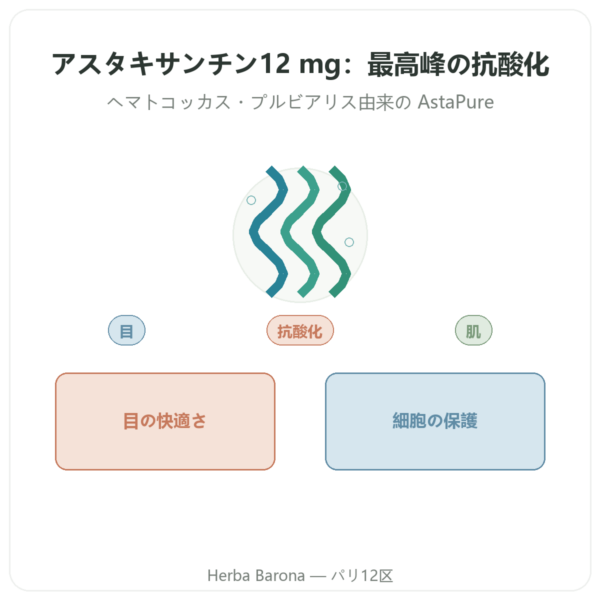 Astaxanthine 12 mg アスタキサンチン – Jarrow Formulas – 30ソフトジェル presentation Paris Herba Barona