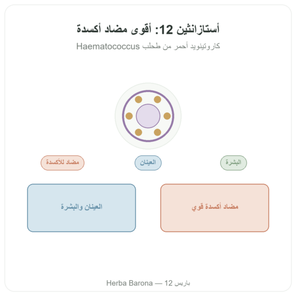 أستازانتين 12 ملغ – Jarrow Formulas – 60 كبسولة جيلاتينية عرض المنتج Paris Herba Barona