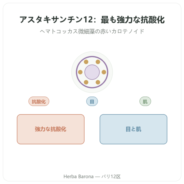 アスタキサンチン 12 mg – Jarrow Formulas – 60ソフトジェル presentation Paris Herba Barona