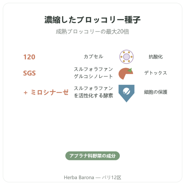 Broccomax スルフォラファン ブロッコリーエキス Jarrow Formulas – 120カプセル benefits and key facts Paris Herba Barona