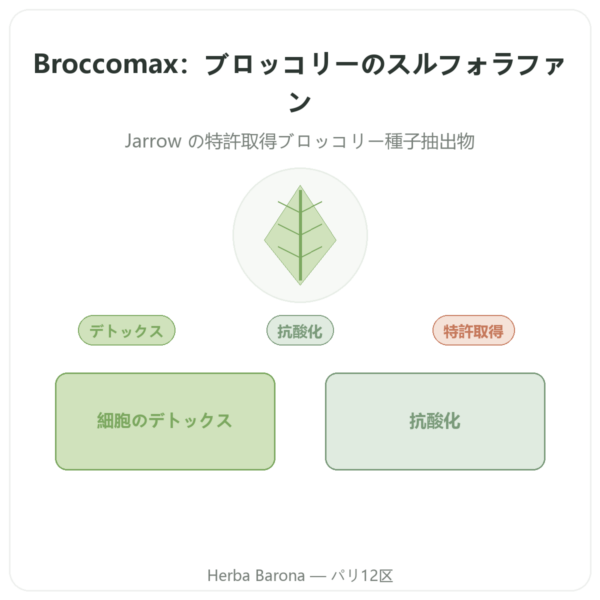Broccomax スルフォラファン ブロッコリーエキス Jarrow Formulas – 120カプセル presentation Paris Herba Barona