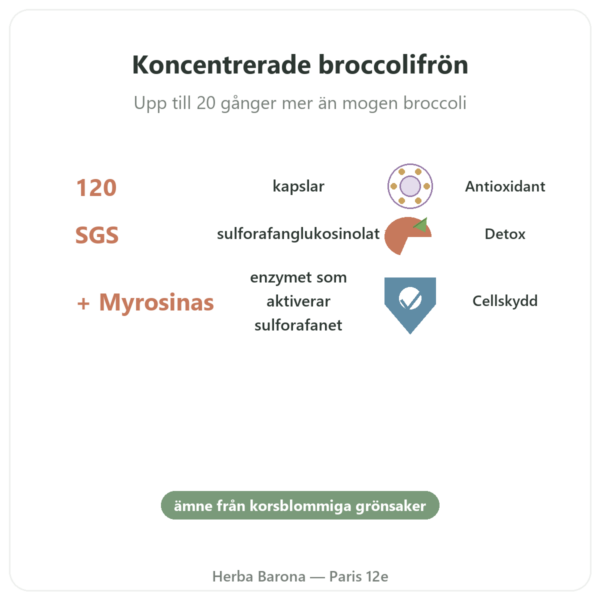 Broccomax Sulforafan Broccoliextrakt – Jarrow Formulas – 120 kapslar fördelar och nyckelfakta Paris Herba Barona