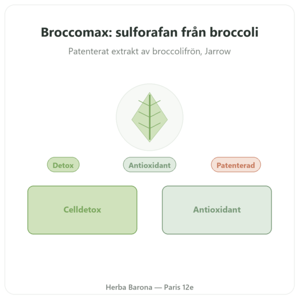 Broccomax Sulforafan Broccoliextrakt – Jarrow Formulas – 120 kapslar presentation Paris Herba Barona