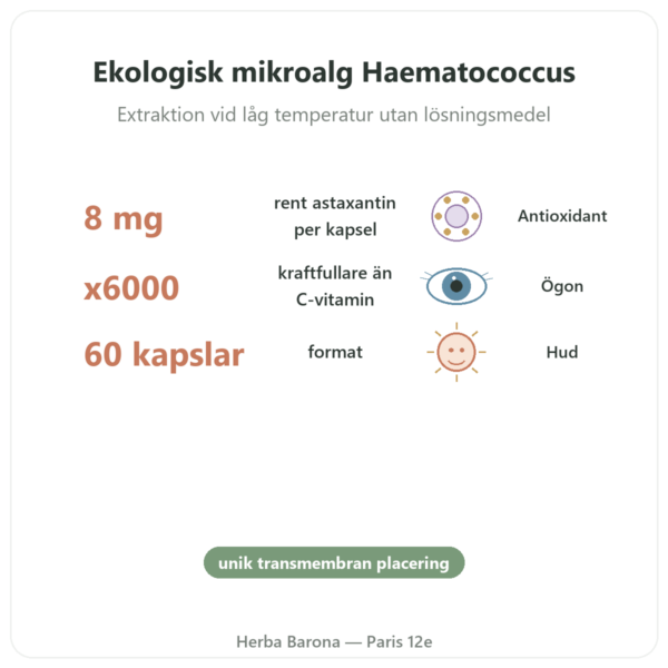 Astaxanthin Forte EKO Naturamedicatrix 60 kapslar - Antioxidant fördelar och nyckelfakta Paris Herba Barona