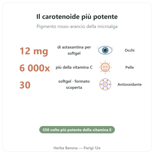 Astaxantina 12 mg – Jarrow Formulas – 30 Softgel benefici e dati chiave Paris Herba Barona
