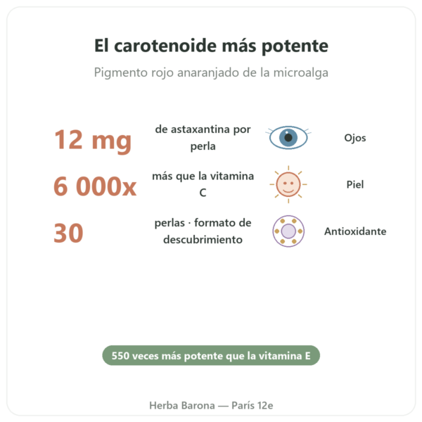 Astaxantina 12 mg – Jarrow Formulas – 30 Softgels beneficios y datos clave Paris Herba Barona