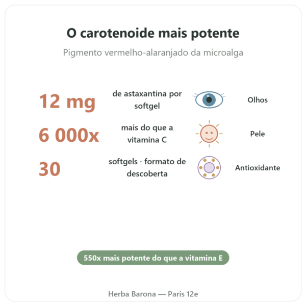 Astaxantina 12 mg – Jarrow Formulas – 30 Softgels benefícios e dados principais Paris Herba Barona