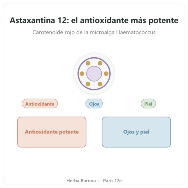 Astaxantina 12 mg – Jarrow Formulas – 60 Cápsulas Blandas presentación Paris Herba Barona