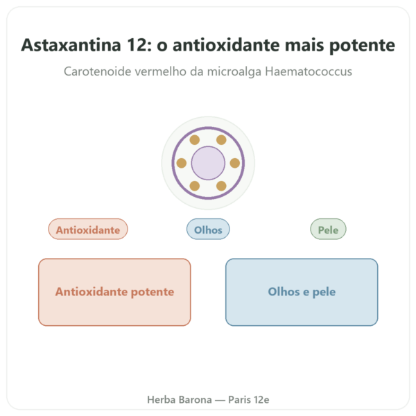 Astaxantina 12 mg – Jarrow Formulas – 60 Softgels – Comprar apresentação Paris Herba Barona