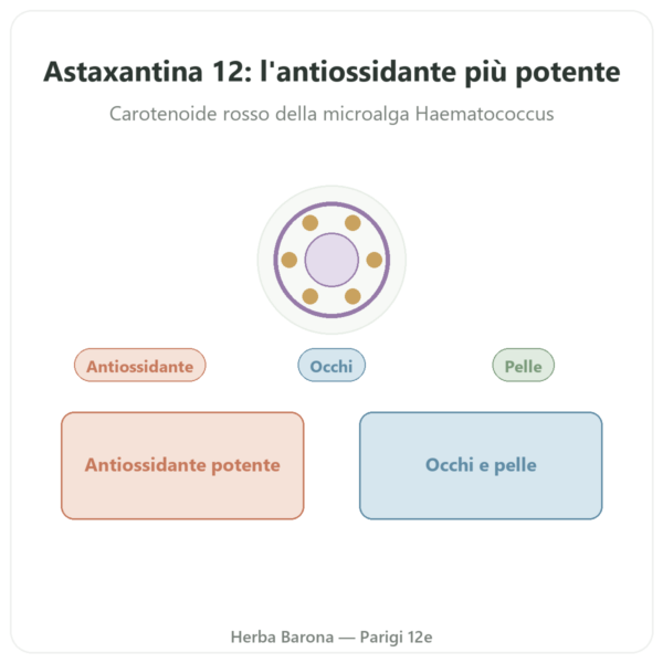 Astaxantina 12 mg – Jarrow Formulas – 60 Softgel presentazione Paris Herba Barona
