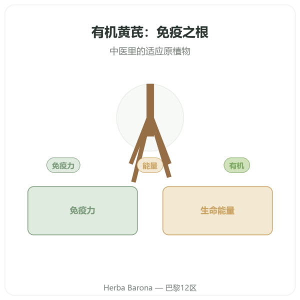 黄芪 – Qualidiet – 50 % 多糖 – 60 粒胶囊 产品展示 Paris Herba Barona