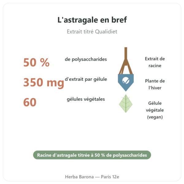 Astragale Qualidiet 50% polysaccharides 350 mg 60 gelules en bref Paris Herba Barona