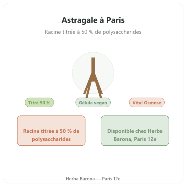 Astragale Qualidiet 50% polysaccharides presentation Paris Herba Barona