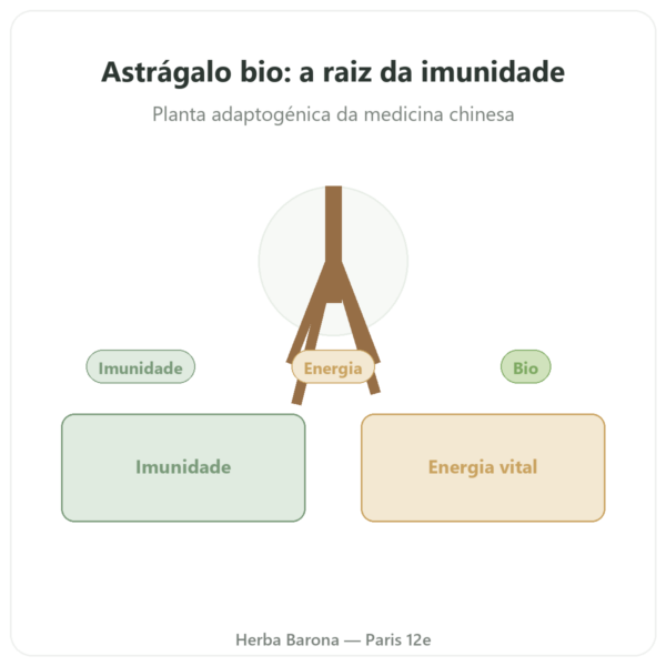 Astrágalo – Qualidiet – 50% polissacarídeos – 60 cápsulas apresentação Paris Herba Barona