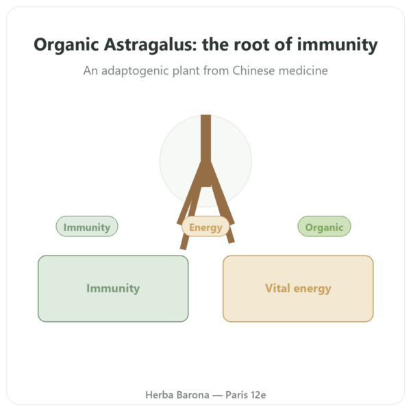 Astragalus - Qualidiet - 50% Polysaccharides - 60 Capsules presentation Paris Herba Barona