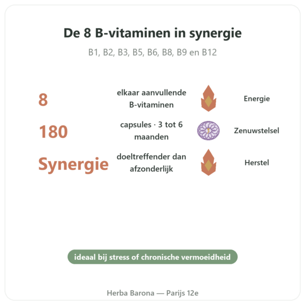 B Complex – Be-Life – 180 capsules – Vitamines B voordelen en kerngegevens Paris Herba Barona