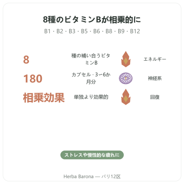B Complex – Be-Life – 180カプセル – ビタミンB群 benefits and key facts Paris Herba Barona