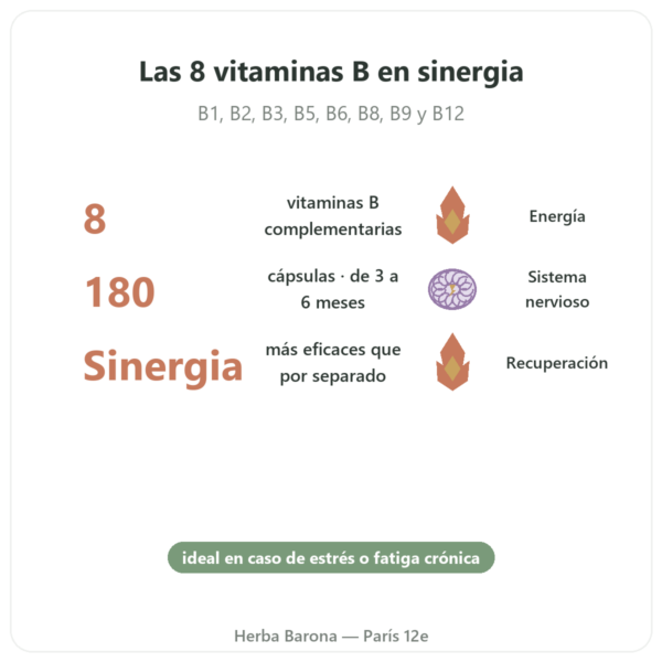 B Complex – Be-Life – 180 Cápsulas – Vitaminas B beneficios y datos clave Paris Herba Barona