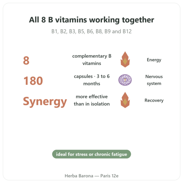 B Complex – Be-Life – 180 Capsules – B Vitamins benefits and key facts Paris Herba Barona