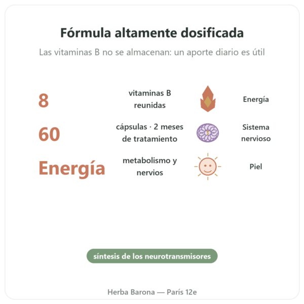 B Complex – Be-Life – 60 Cápsulas – Vitaminas B beneficios y datos clave Paris Herba Barona