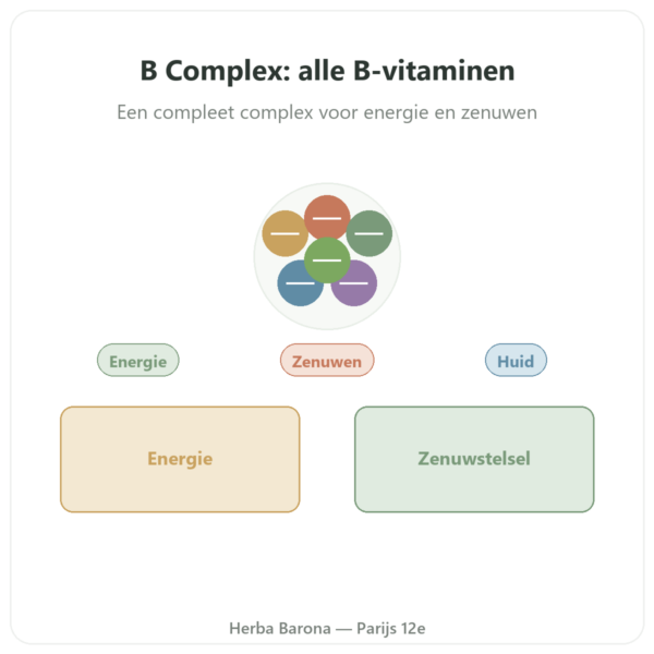 B Complex – Be-Life – 60 capsules – Vitamine B presentatie Paris Herba Barona