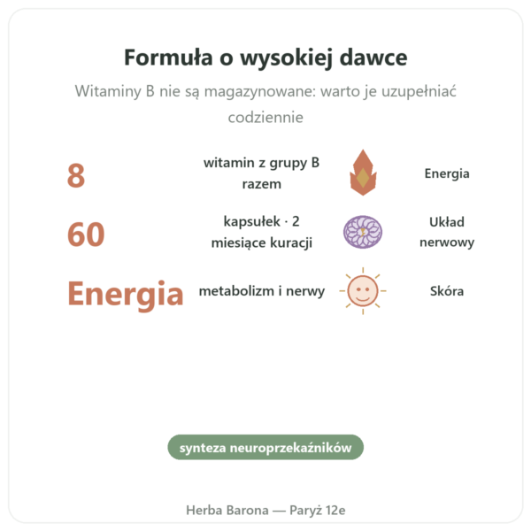 B Complex – Be-Life – 60 kapsułek – Witaminy z grupy B korzyści i najważniejsze fakty Paris Herba Barona