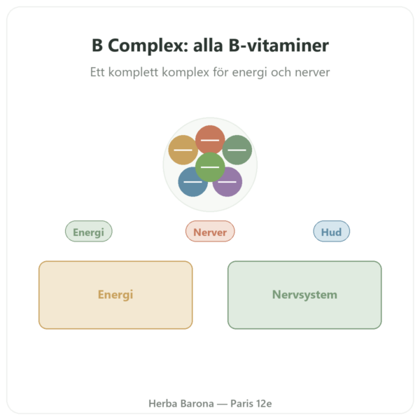 B-komplex – Be-Life – 60 kapslar – B-vitaminer presentation Paris Herba Barona