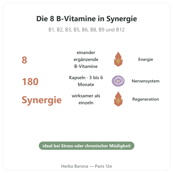 B-Komplex – Be-Life – 180 Kapseln – Vitamine B Vorteile und Fakten Paris Herba Barona