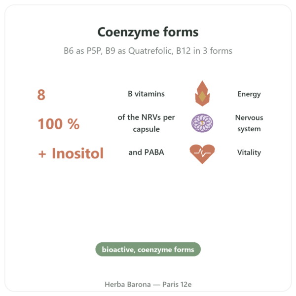 B Vitamin Complex - Multi B - 60 capsules - Dynveo benefits and key facts Paris Herba Barona