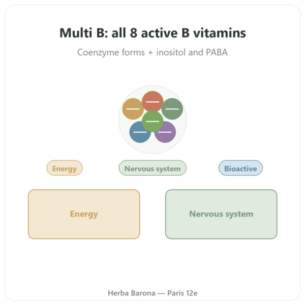 B Vitamin Complex - Multi B - 60 capsules - Dynveo presentation Paris Herba Barona