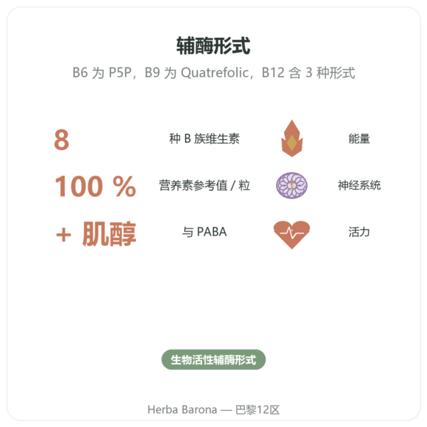 B 族维生素复合物 – Multi B – 60 粒胶囊 – Dynveo 功效与数据 Paris Herba Barona
