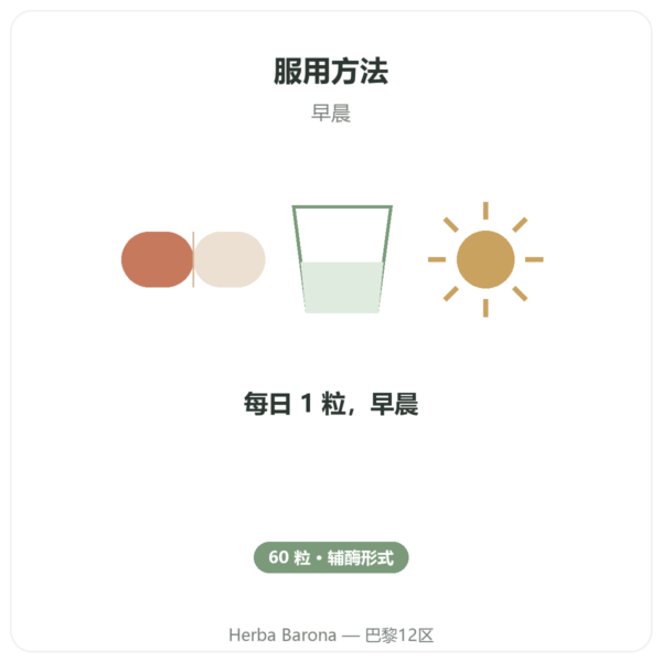 B 族维生素复合物 – Multi B – 60 粒胶囊 – Dynveo 使用方法与建议剂量 Paris Herba Barona