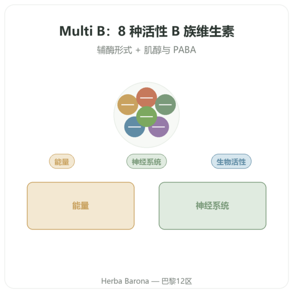 B 族维生素复合物 – Multi B – 60 粒胶囊 – Dynveo 产品展示 Paris Herba Barona