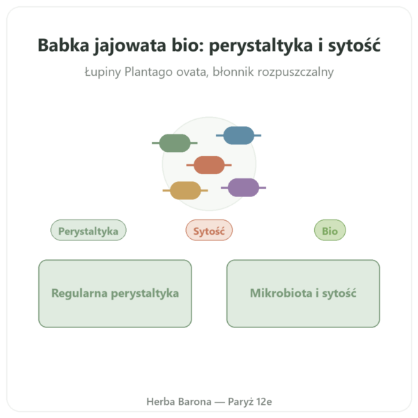 Babka Płesznik Bio w Proszku – Ethnoscience – 600 g prezentacja Paris Herba Barona
