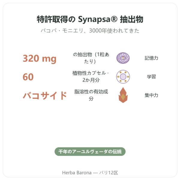 バコパ Synapsa 320 mg 60カプセル Doctor’s Best benefits and key facts Paris Herba Barona
