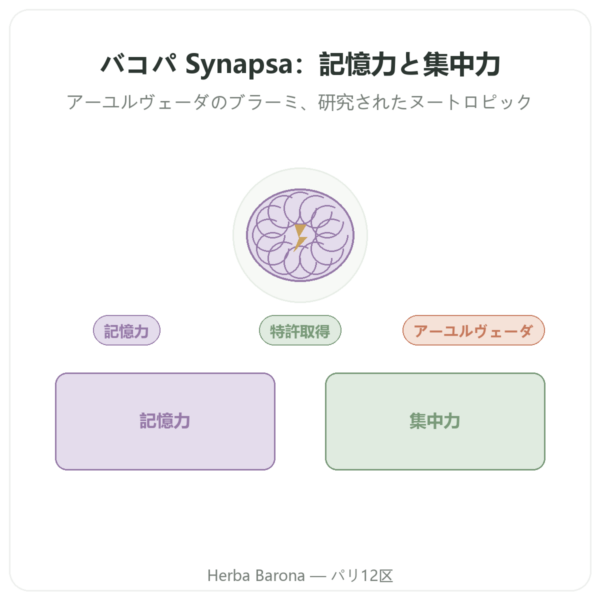 バコパ Synapsa 320 mg 60カプセル Doctor’s Best presentation Paris Herba Barona