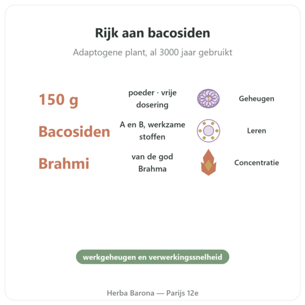 Bacopa – Brahmi in Poeder – 150 g voordelen en kerngegevens Paris Herba Barona