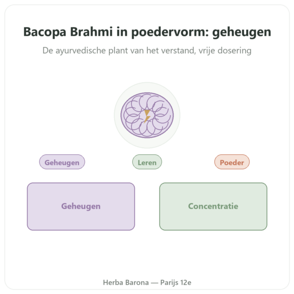 Bacopa – Brahmi in Poeder – 150 g presentatie Paris Herba Barona