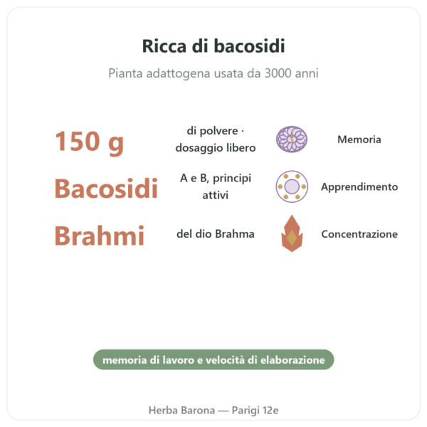 Bacopa – Brahmi in polvere 150 g benefici e dati chiave Paris Herba Barona